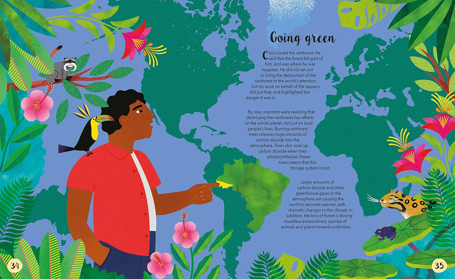 rainforest warrior book