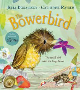 the bowerbird