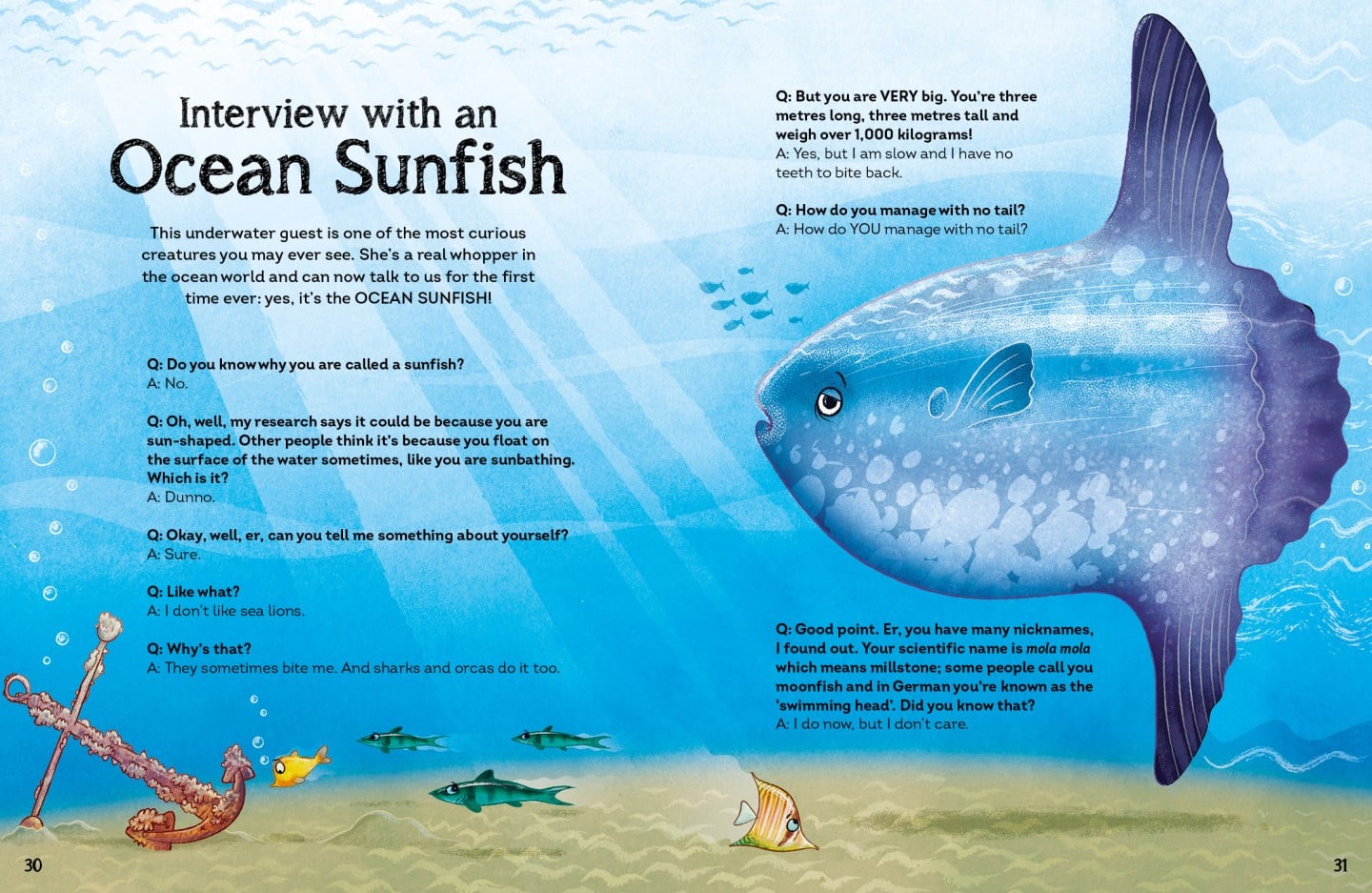 interview with a shark spread