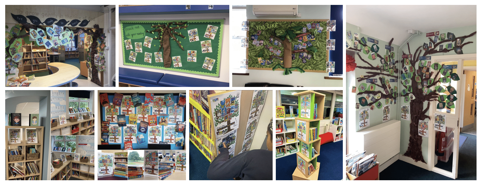 branching out school library display