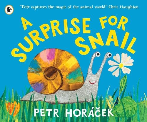 a surprise for snail