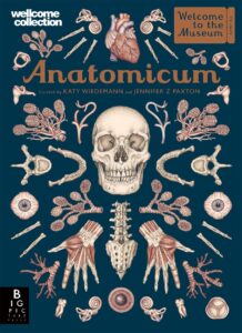 anatomicum