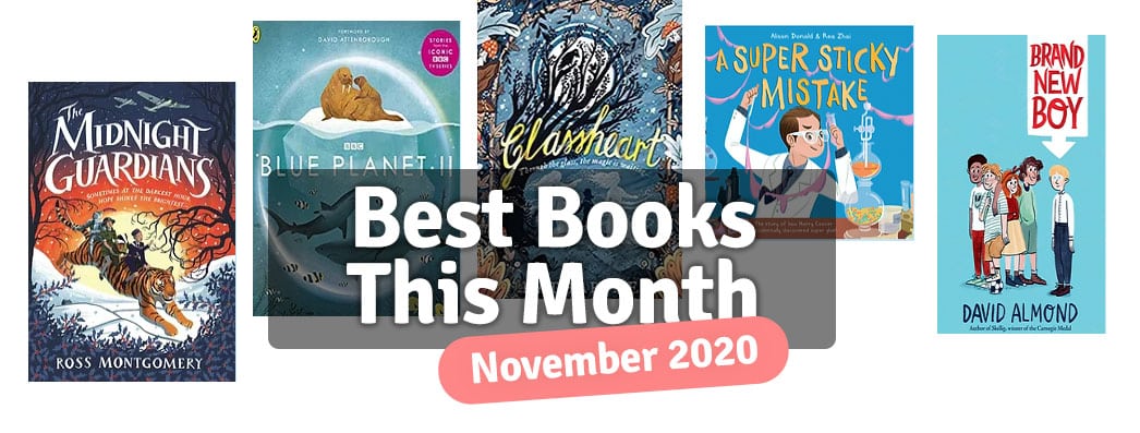 November 2020 - Books of the Month