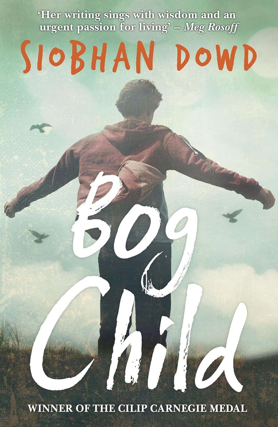 Bog Child Book Review