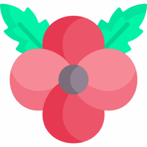 best childrens books about remembrance