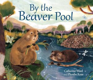 by the beaver pool