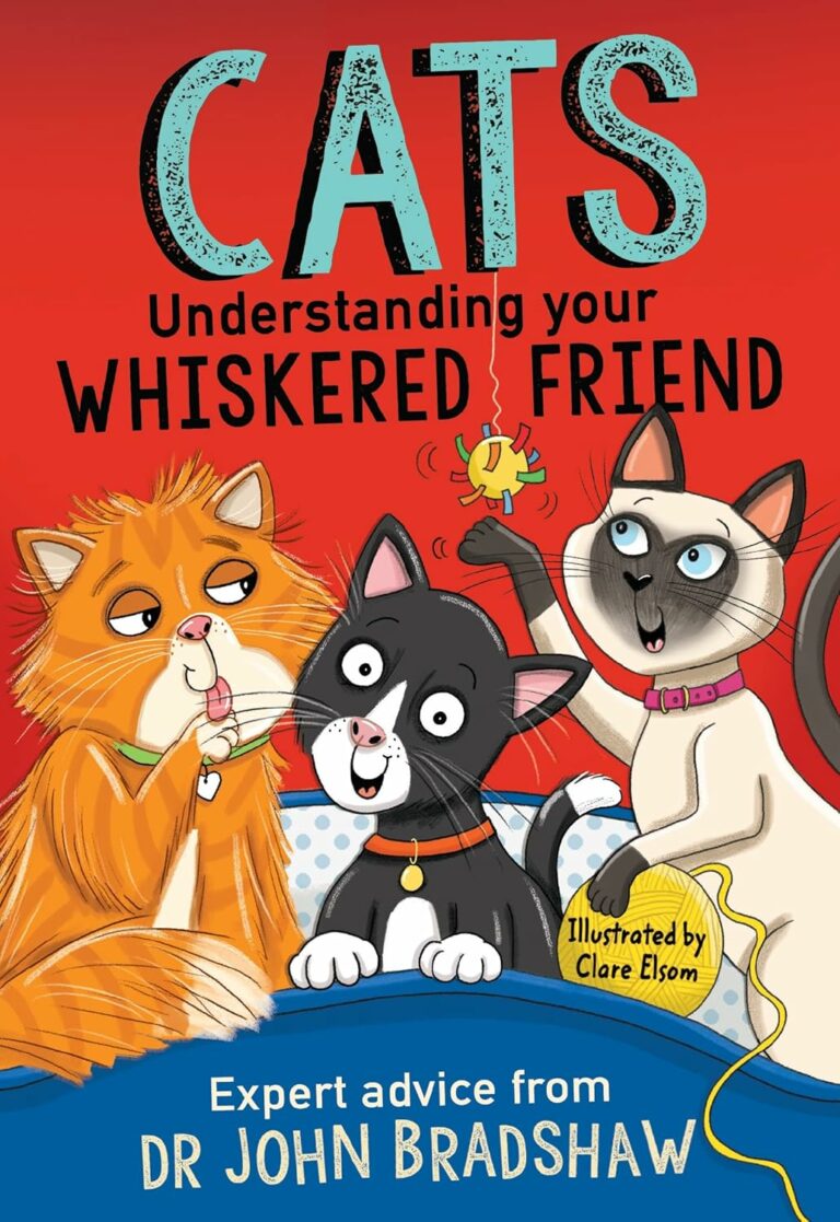 cats understanding your whiskered friend