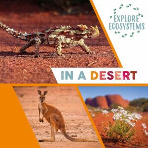 explore ecosystems in a desert