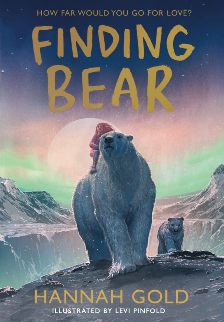 finding bear