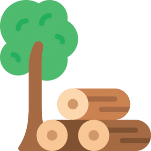 best childrens books about forest school