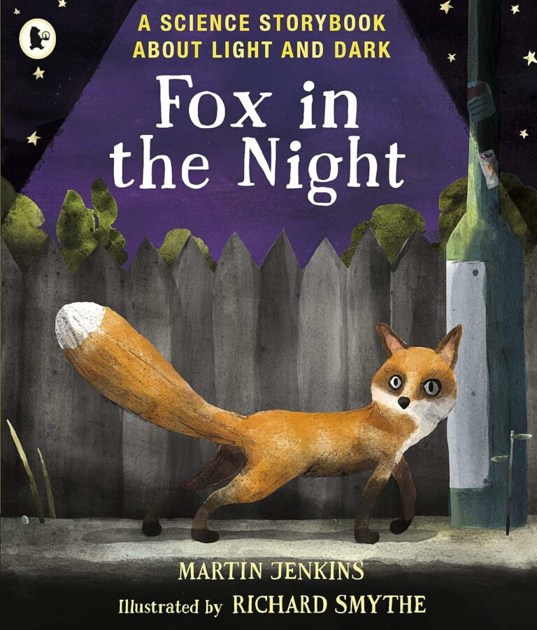 fox in the night a science storybook about light and dark