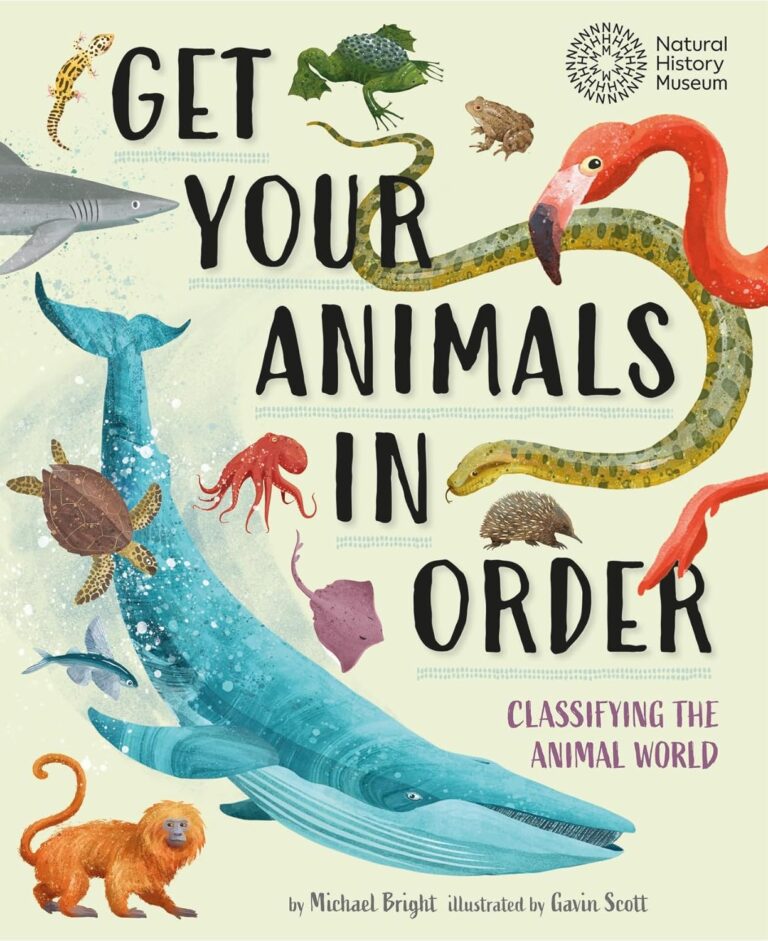 get your animals in order classifying the animal world