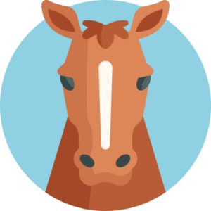 a list of recommended children's books about horses and ponies