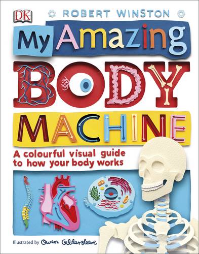 my amazing body machine a colourful visual guide to how your body works