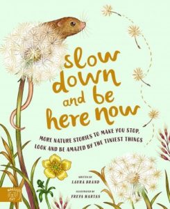 slow down and be here now