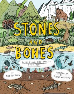 stones and bones fossils and the stories they tell