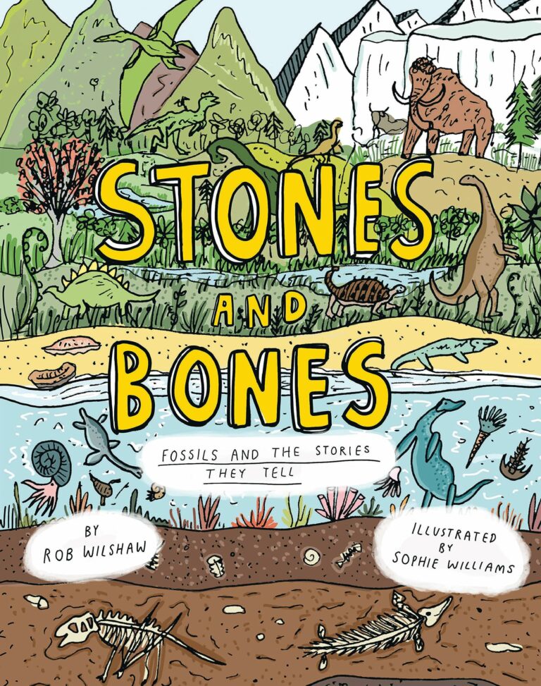 stones and bones fossils and the stories they tell