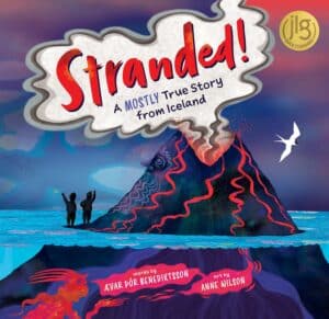 stranded a mostly true story from iceland