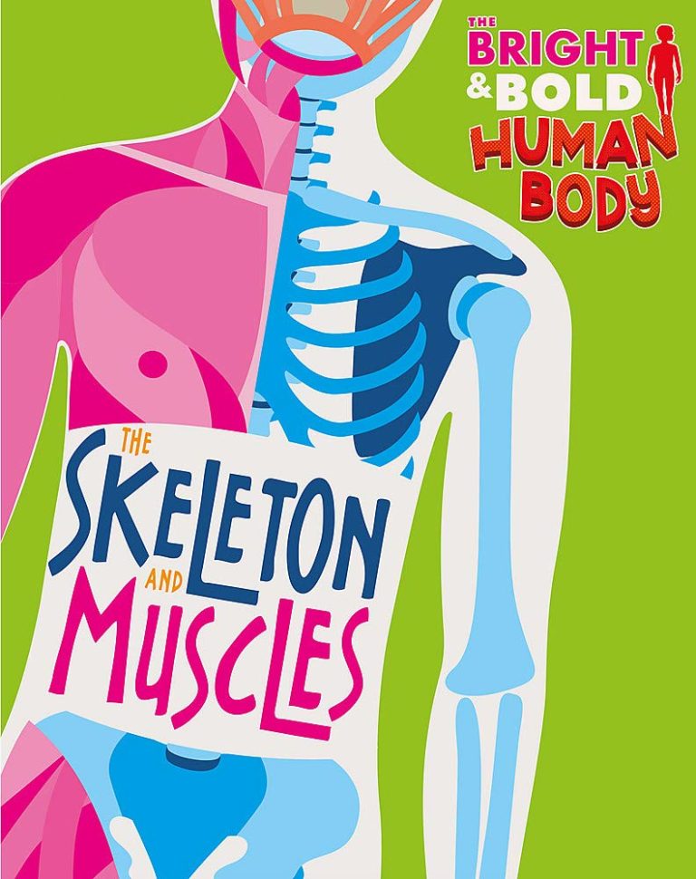 the bright and bold human body the skeleton and muscles