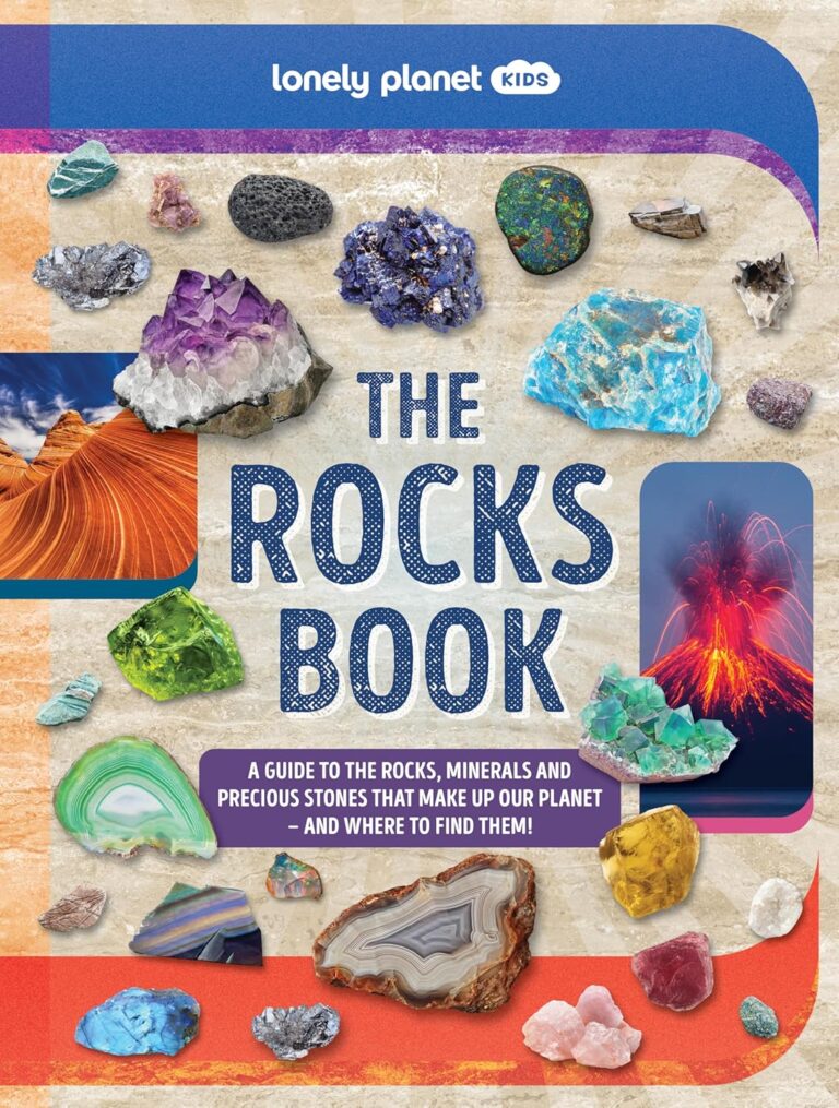 the rocks book