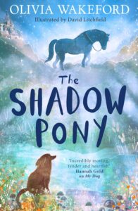 the shadow pony