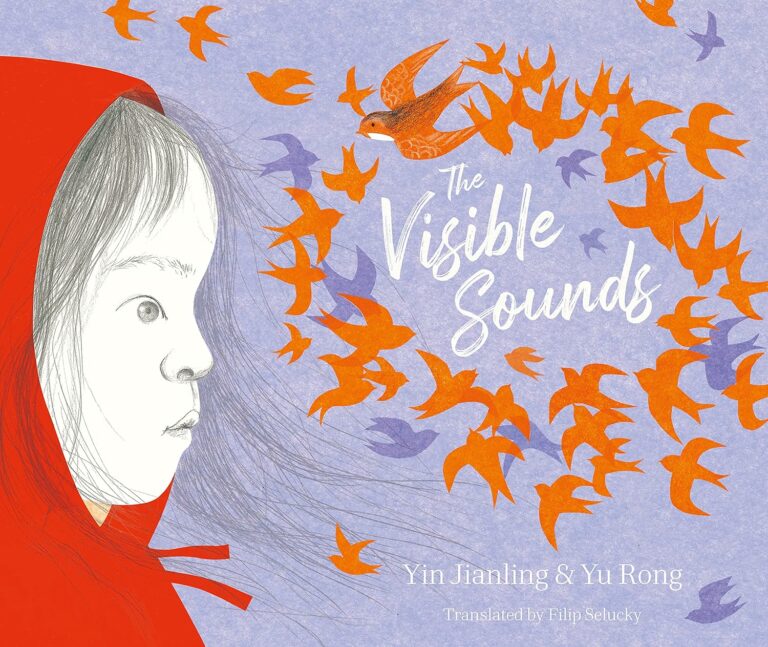 the visible sounds