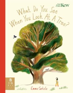 what do you see when you look at a tree